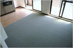 carpet-008.jpg